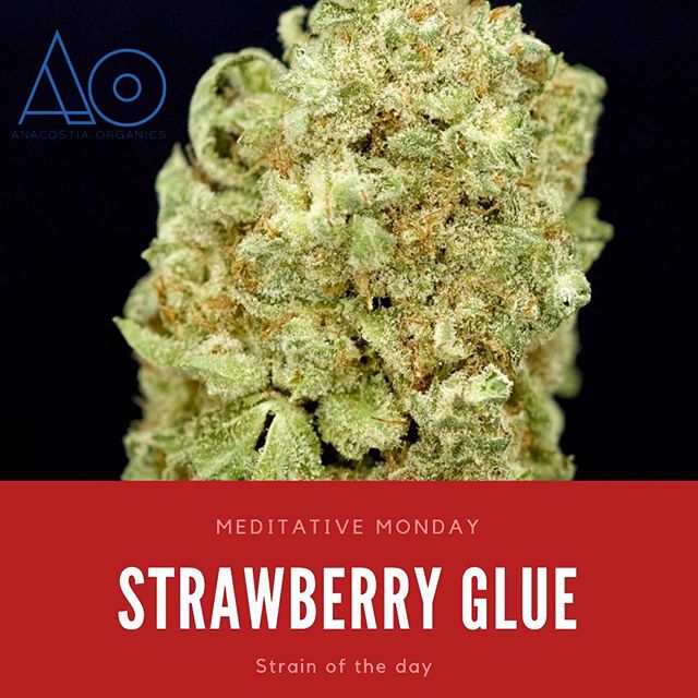 Anacostia Organics Website