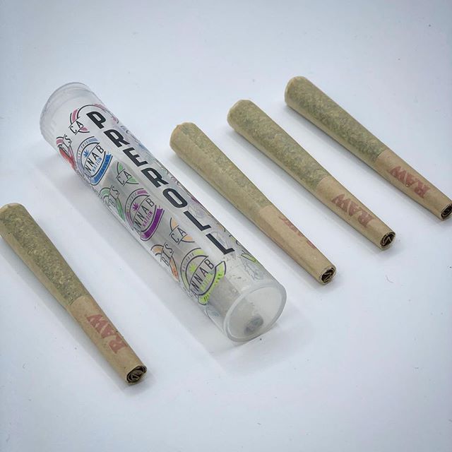 Cannabis Nation Seaside Website