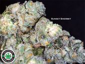 LOS ANGELES KUSH - EAST LA Website