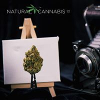 Greenshock Farms Website