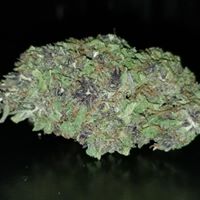 The Way Home Website