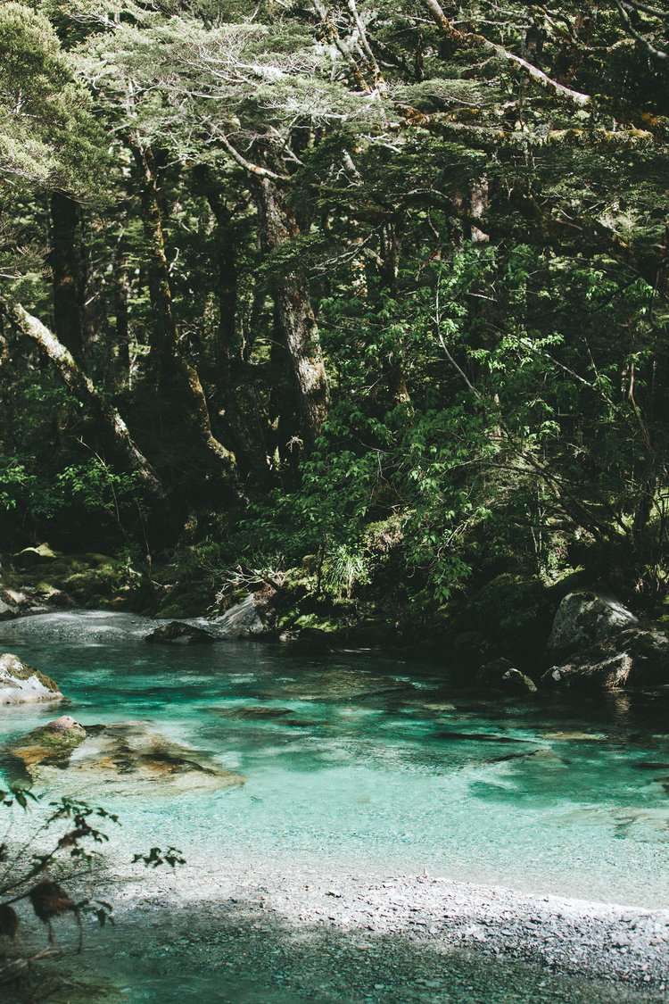 Mt Hood Cannabis Co. Website