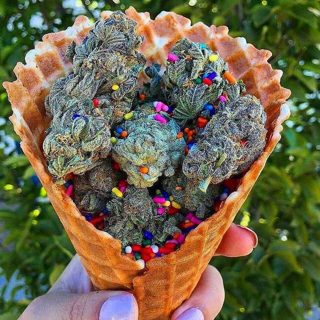 MMJDoctorOnline.com - Hayward Website