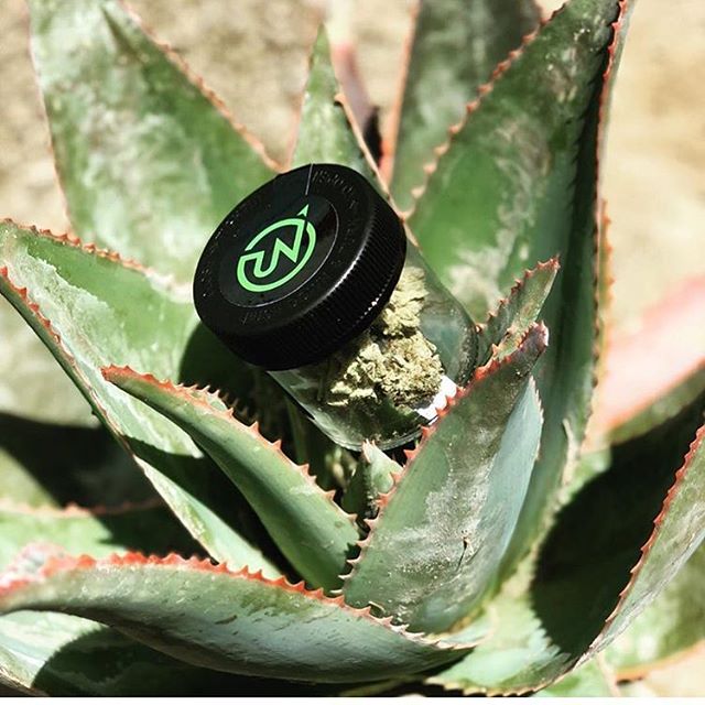 Purple Lotus Patient Center Website