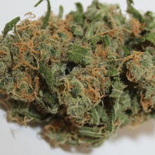 Pine Street Cannabis Company Website