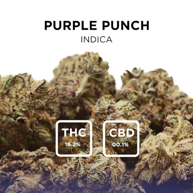 Cultivate Recreational Website