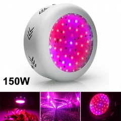 Shenzhen XinJia Light Co. Ltd Website