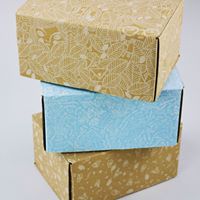 The Packaging Company Website