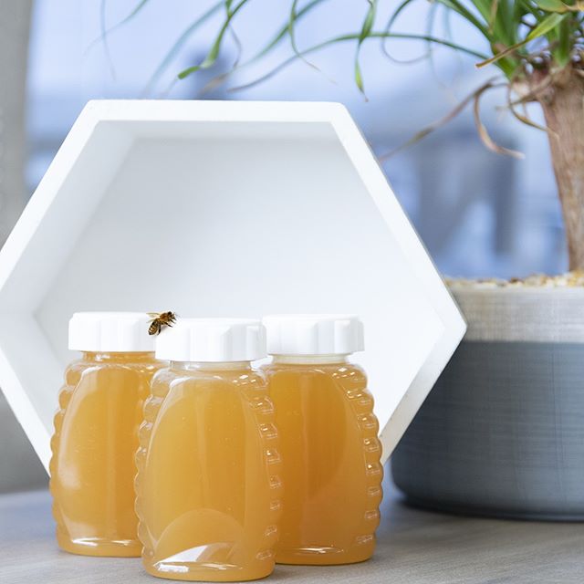 CBD Plus USA - Maryville - CBD Only Website