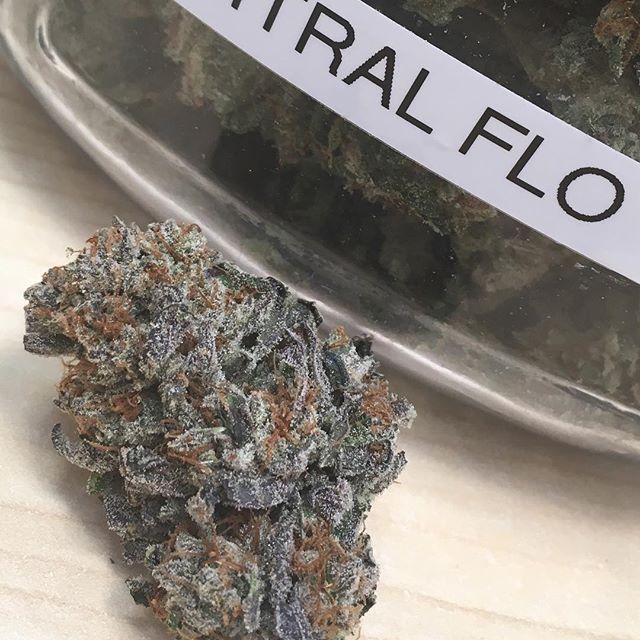 Harvest House Nederland Website