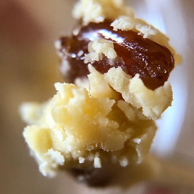 Health for Life Crismon Website