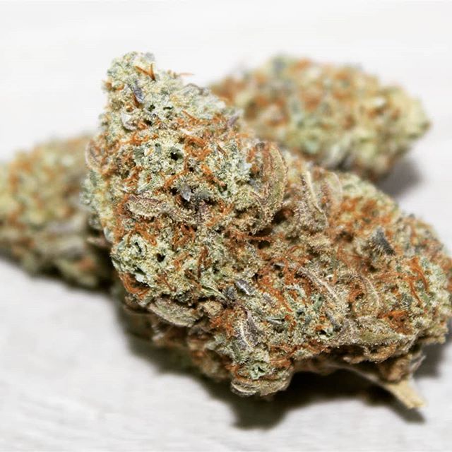 The Agrestic North Website