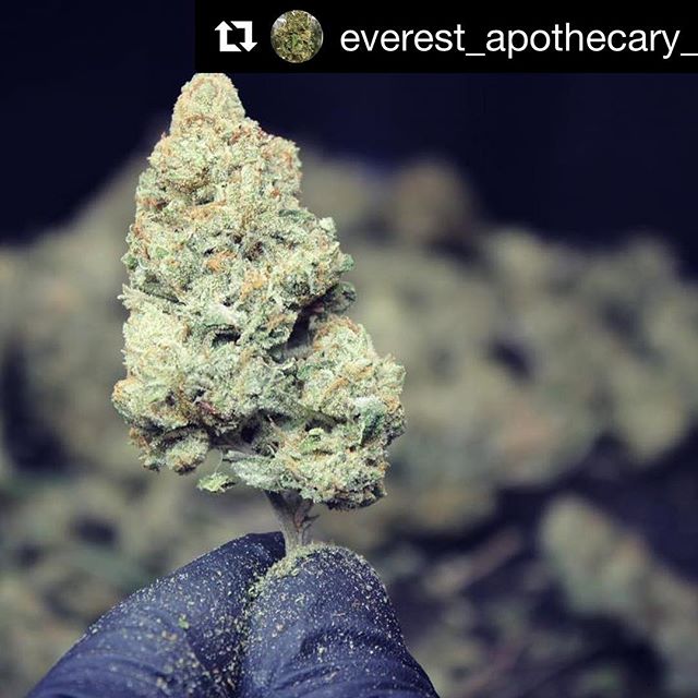 Everest Apothecary - Northeast Heights Website