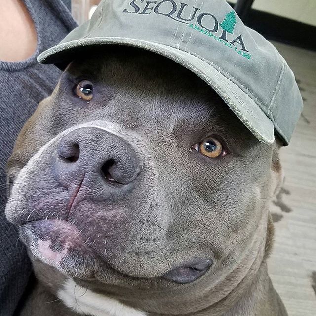 The Sequoyah Group, LLC Website