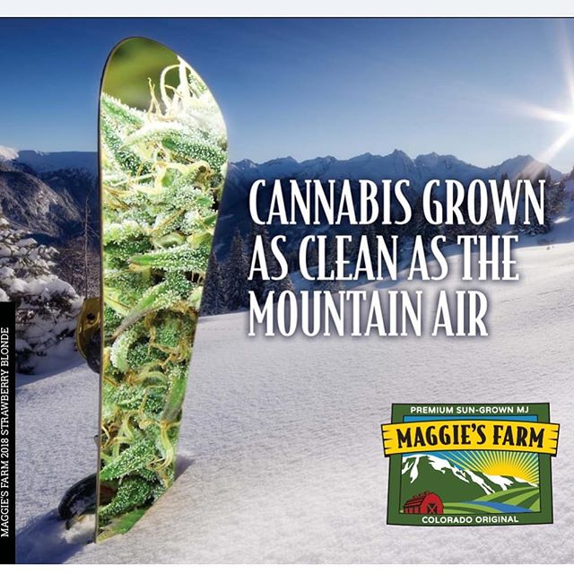 Maggie's Farm - Pueblo North Website