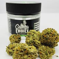 Ruby’s Green Garden (RGG LLC) Website