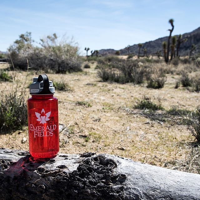 Emerald Fields Manitou Website