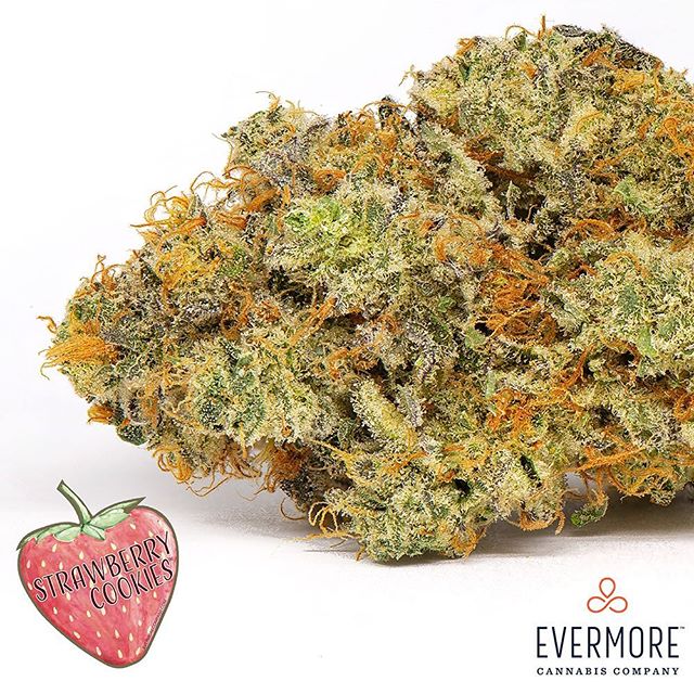 Temescal Wellness Maryland Website