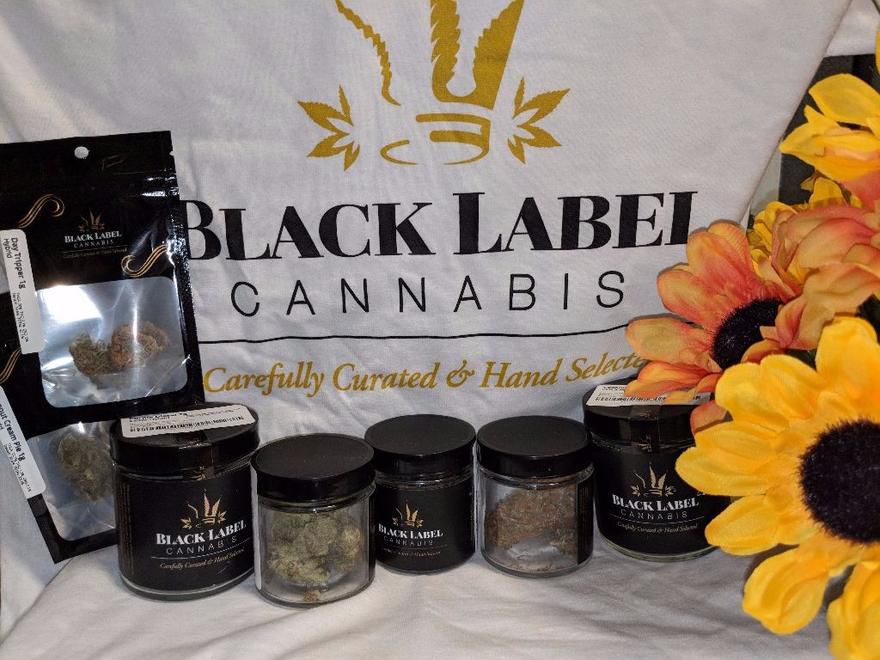 Starbuds - Kirkland Website