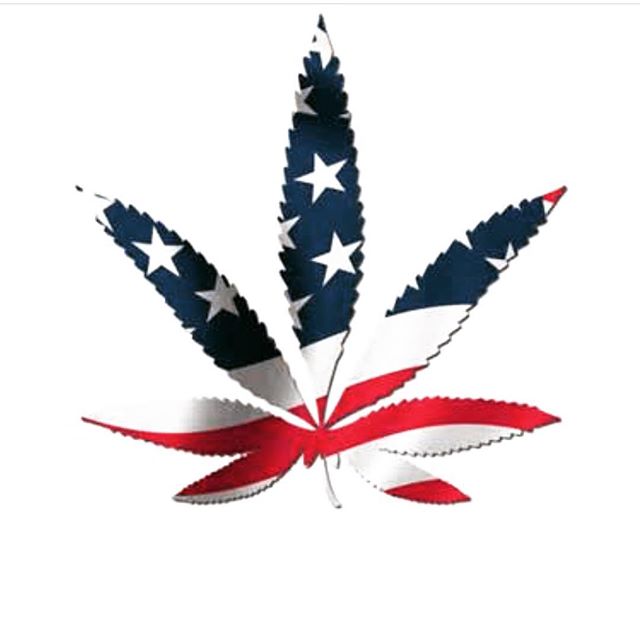 The Hemp Store - Raleigh (CBD Only) Website