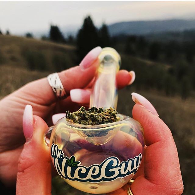 Mr. Nice Guy - State St. Website