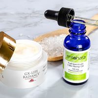 Ensohara INC Website