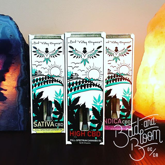 Bud and Bloom - Santa Ana Website