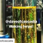 Apeks Super Critical Systems Website