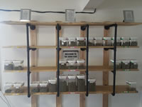 Tumbleweeds - Newport Website