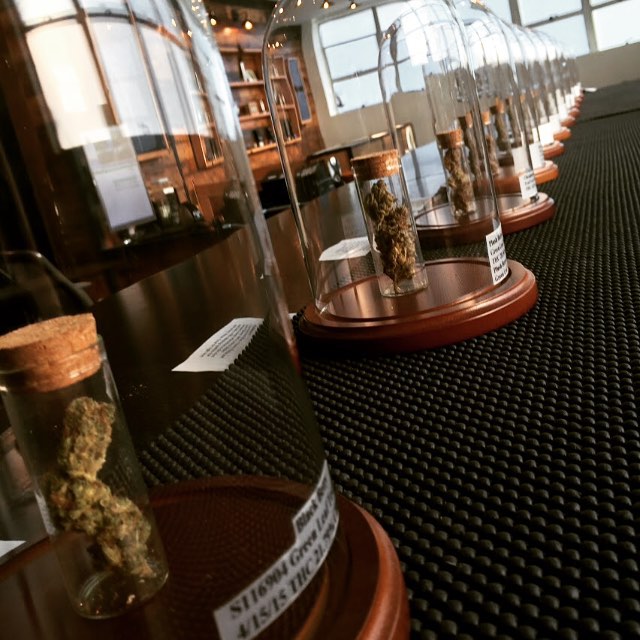 MediGreen Collectives Website