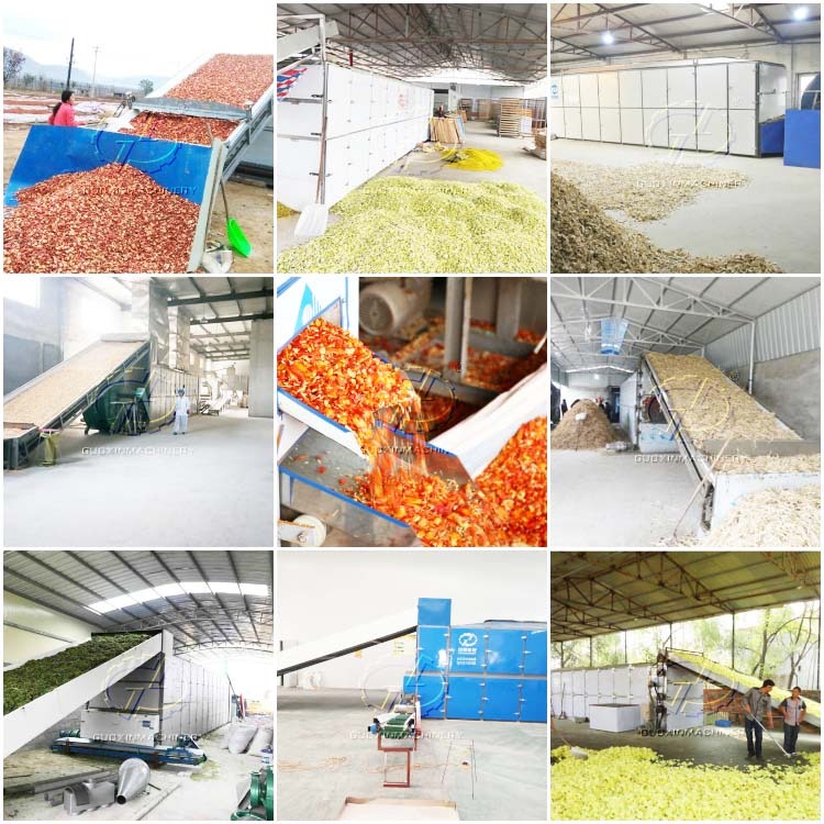 Specialty Handling LLC Website