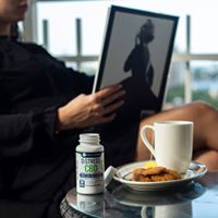 Every Day Optimal Website