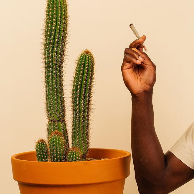 Sunday Goods Delivery - Phoenix Website