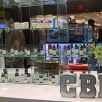 Empathy Collection Website