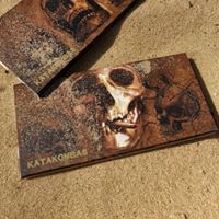 Snail Papers Website