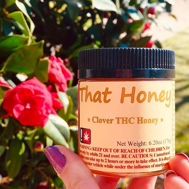 Mr. Nice Guy - State St. Website