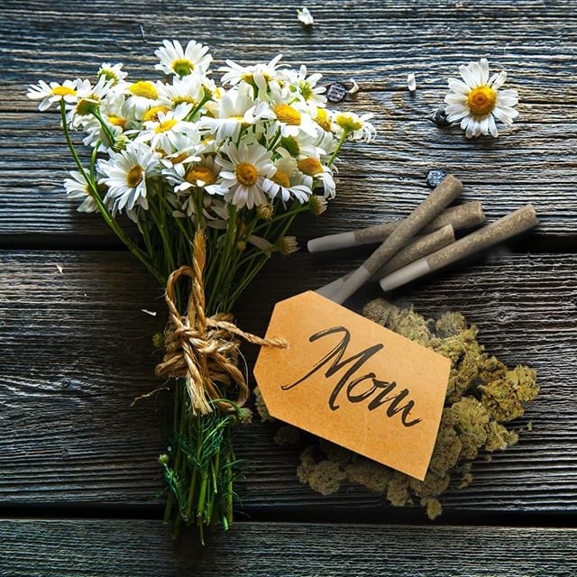 Curaleaf - Auburn Website