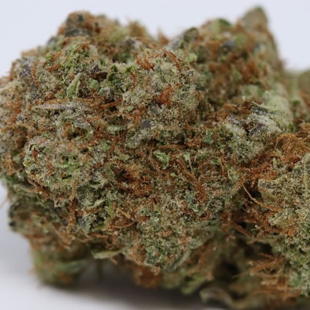 Chronic Therapy - Cortez Website