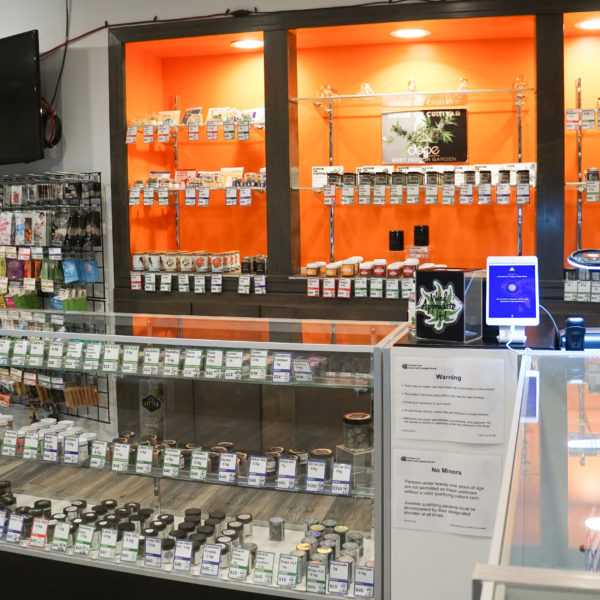 A Greener Today - Shoreline Website