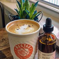 Ology Essentials Website