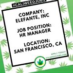 Elefante Inc Website