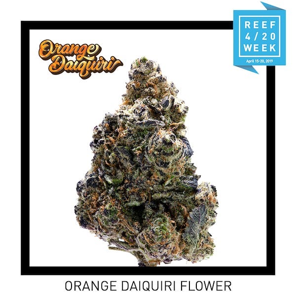 Reef Dispensaries - Queen Creek, AZ Website