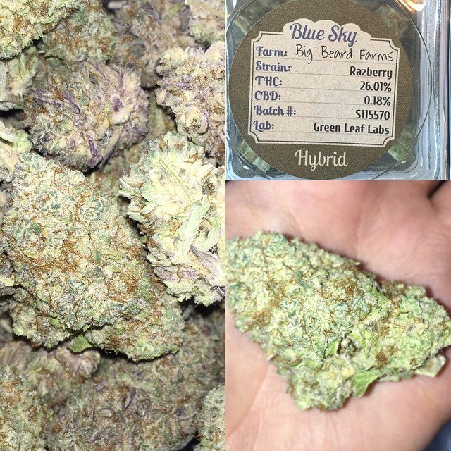 MediGreen Collectives Website