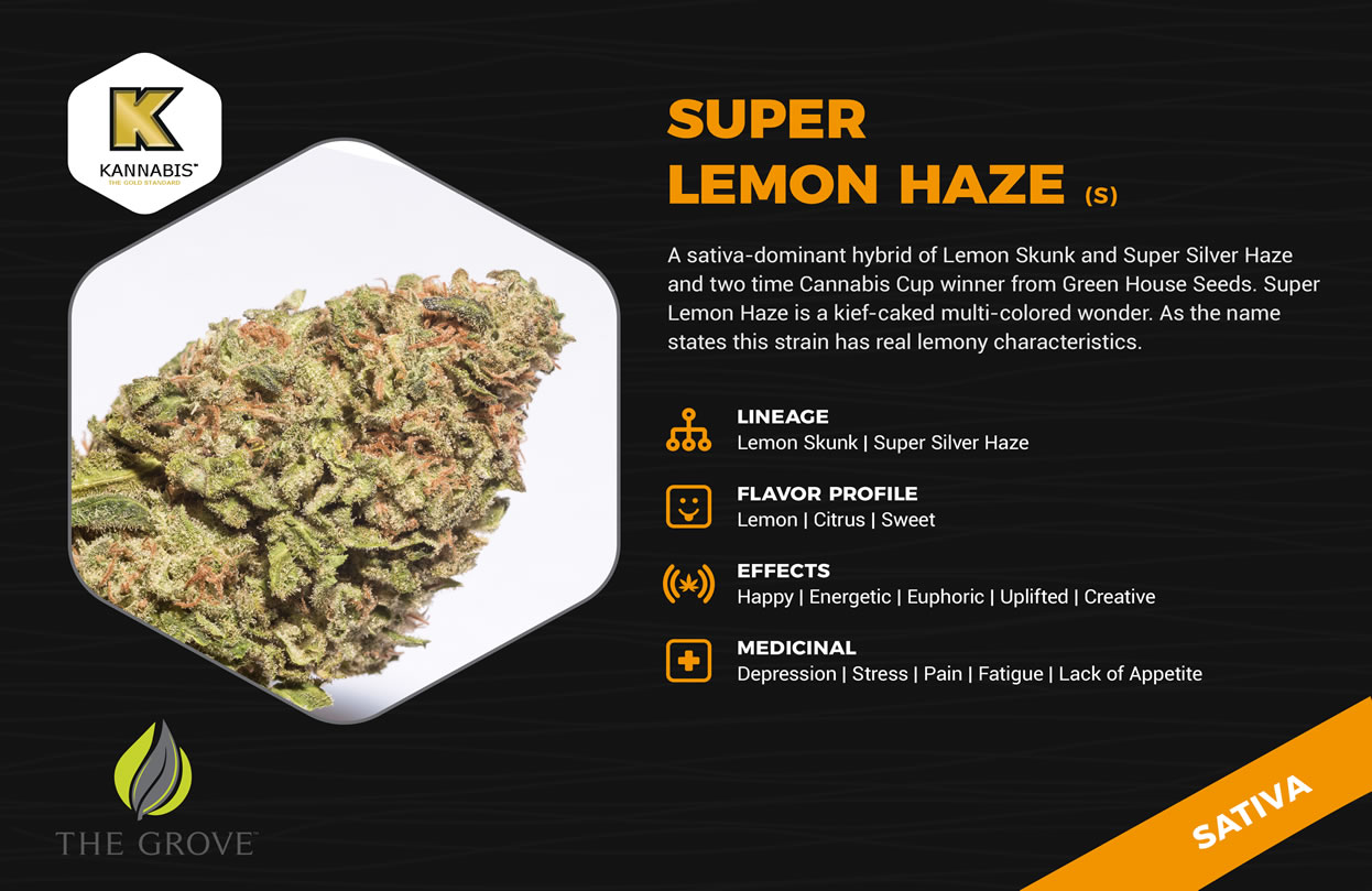 The Grove - Las Vegas Website