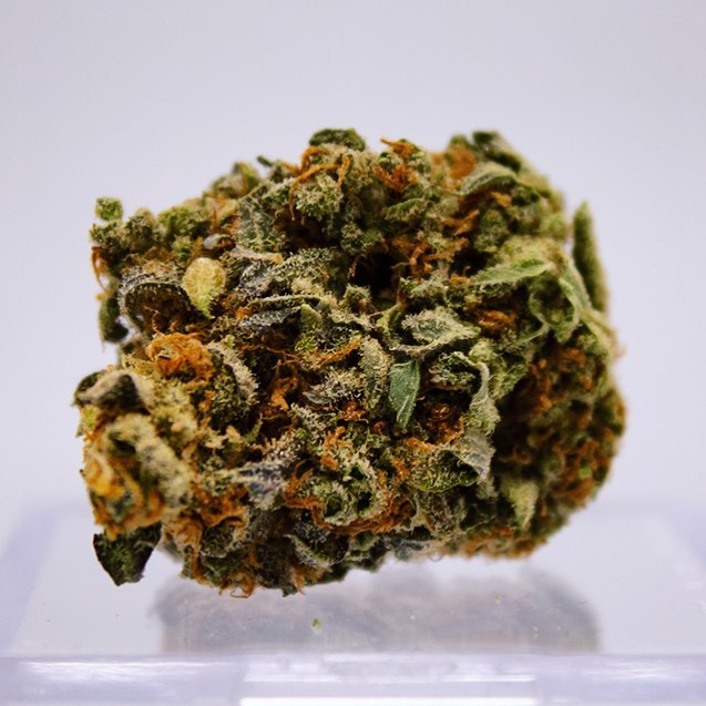 Stellar Cannabis Co. Website