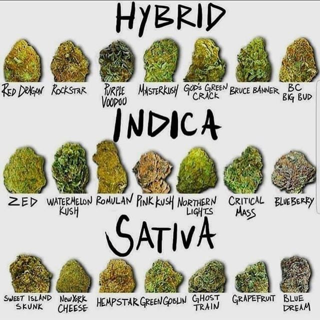 Better Life Doctors Website