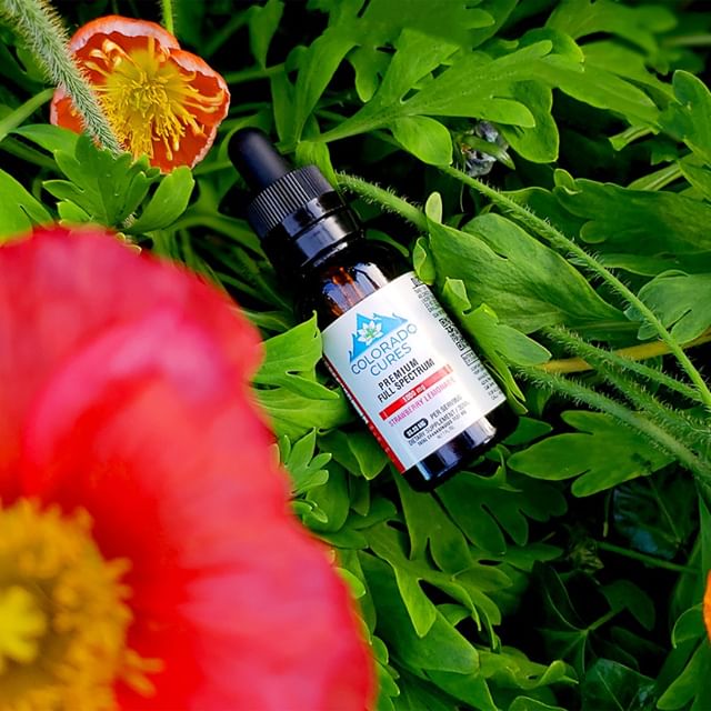 CBD Plus USA - Dallas - CBD Only Website