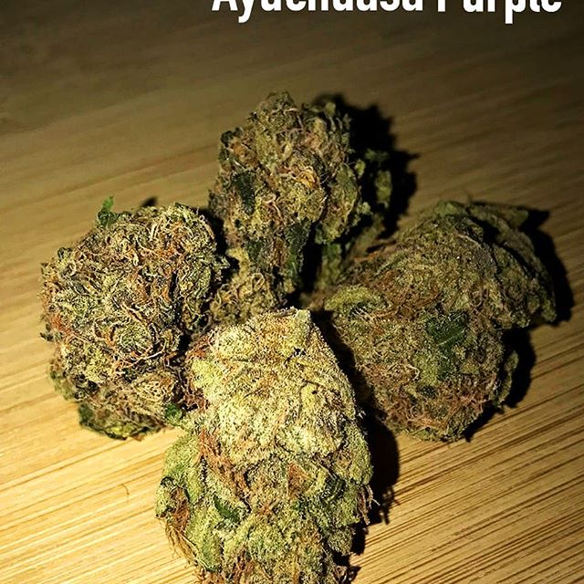 Canna Couriers Website