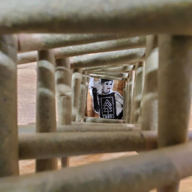 Trees Waterfront Website