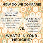 Elefante Inc Website